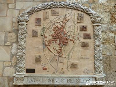 Yacimiento Clunia Sulpicia - Desfiladero de Yecla - Monasterio Santo Domingo de Silos - excursiones 